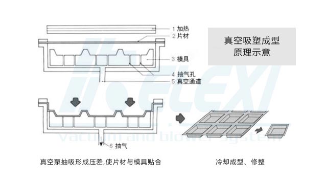 真空应用中的真空吸塑成型